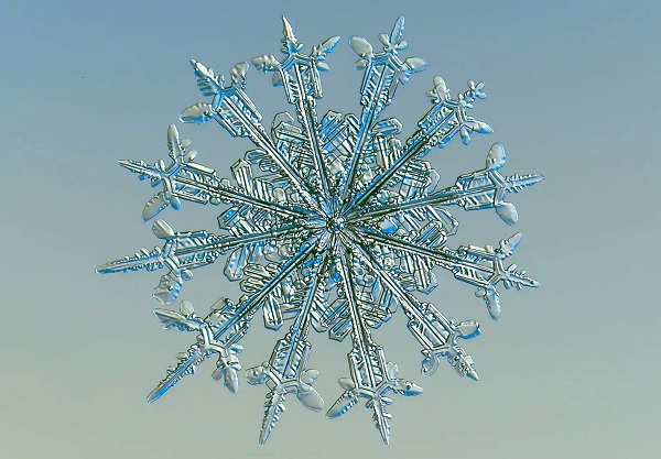 Information : neige.